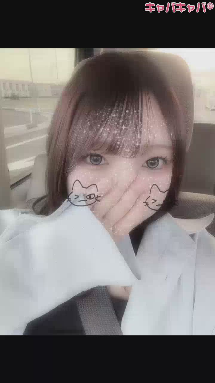 一条 葵