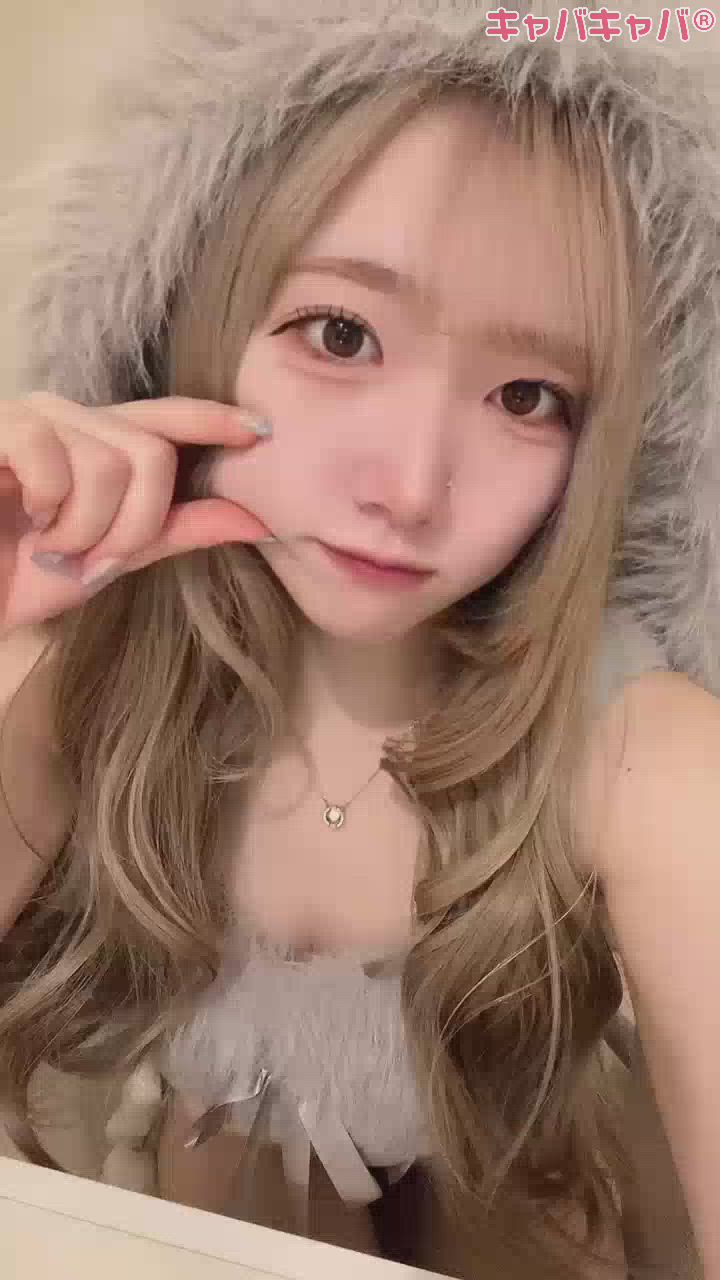 コンセプトカフェ あにまる宮殿日記1569482