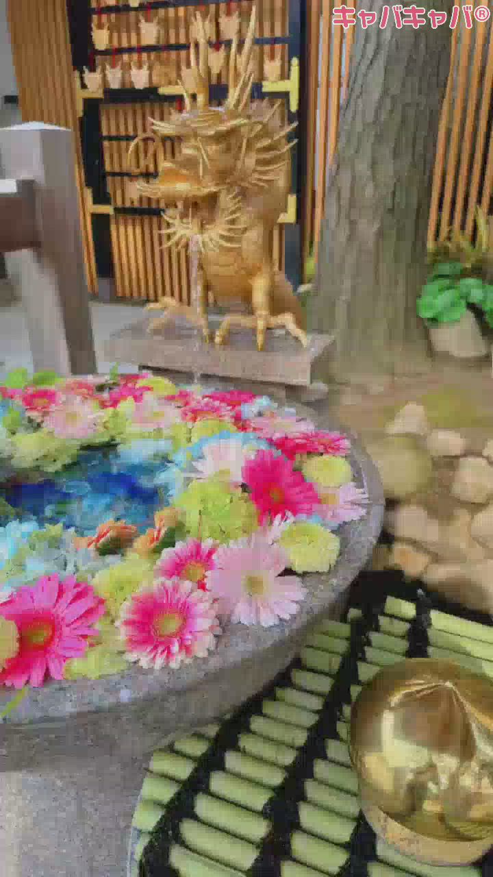 一条 葵
