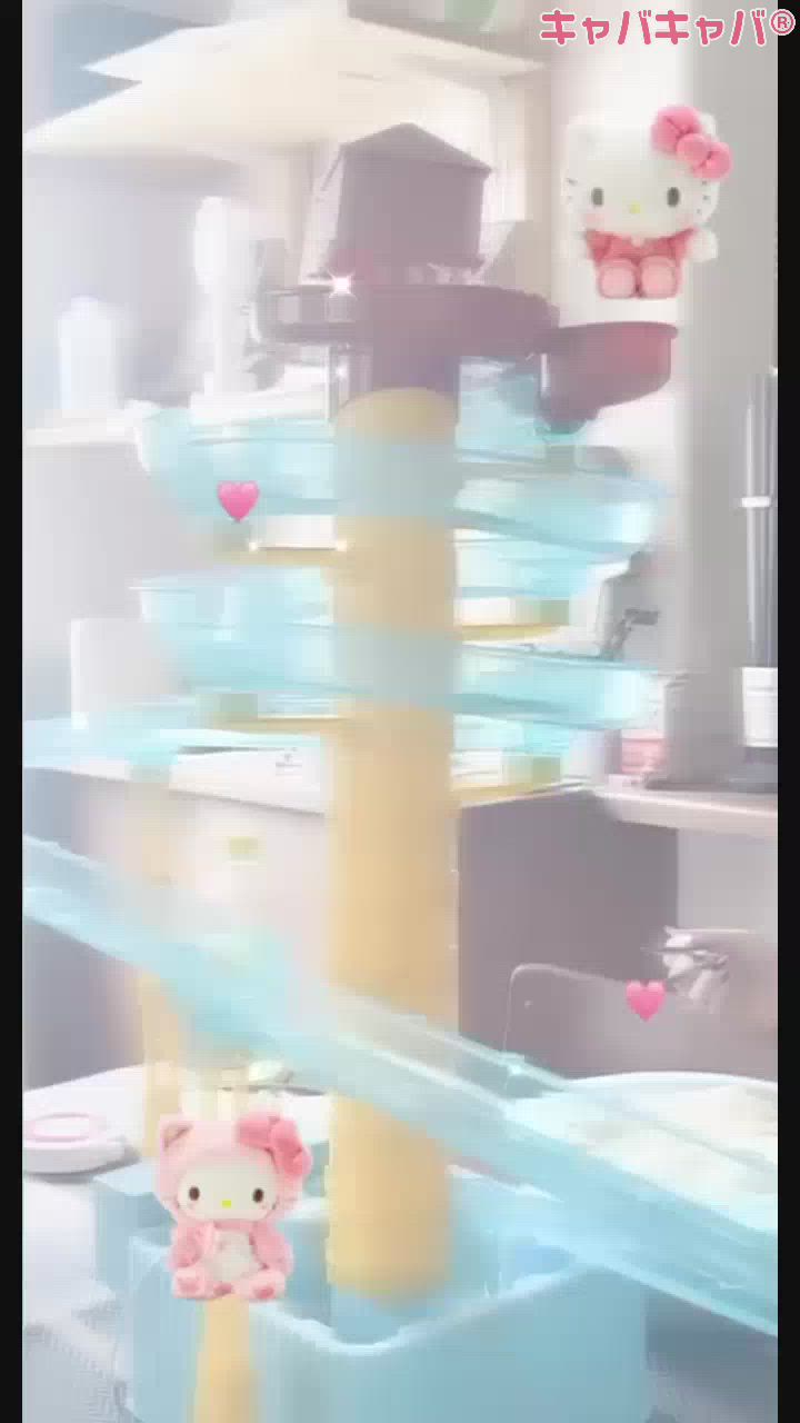 Tuesday☻（ 8月7日 ）