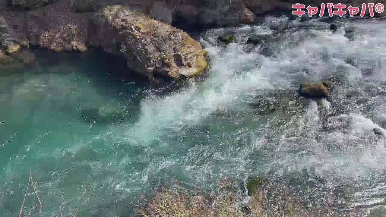 れん