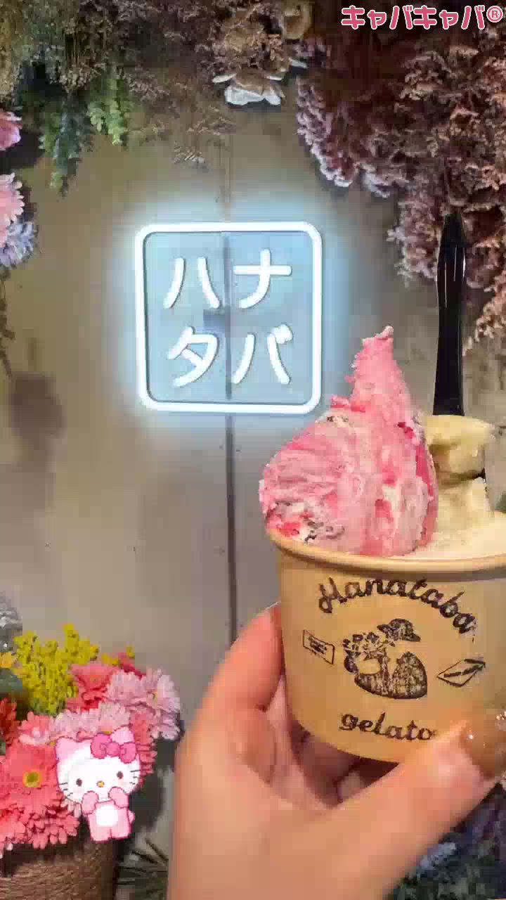 一条 葵