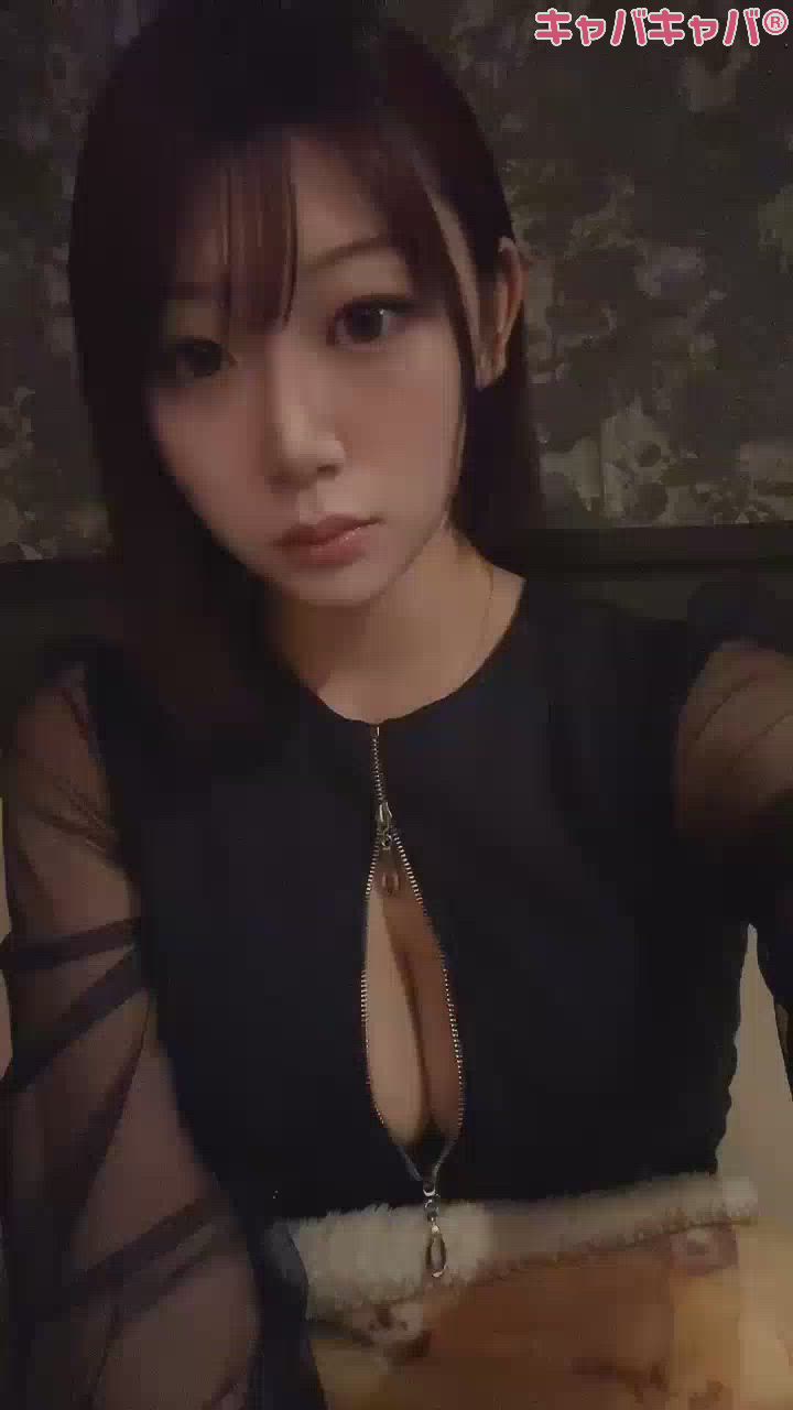 一条 葵