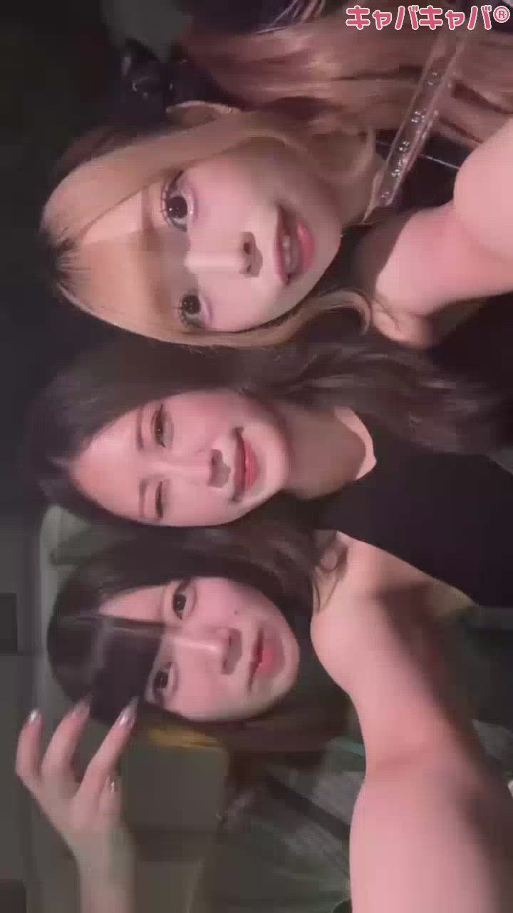 コンセプトカフェ あにまる宮殿日記1398086