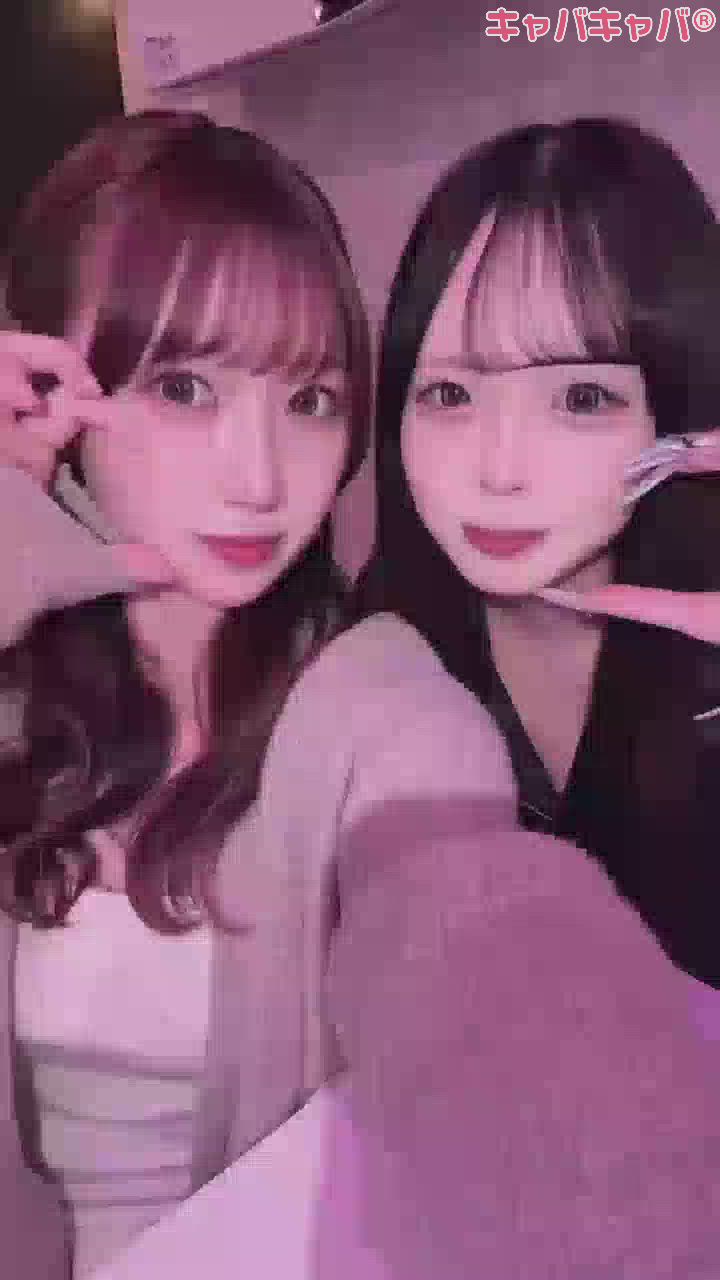 一条 葵
