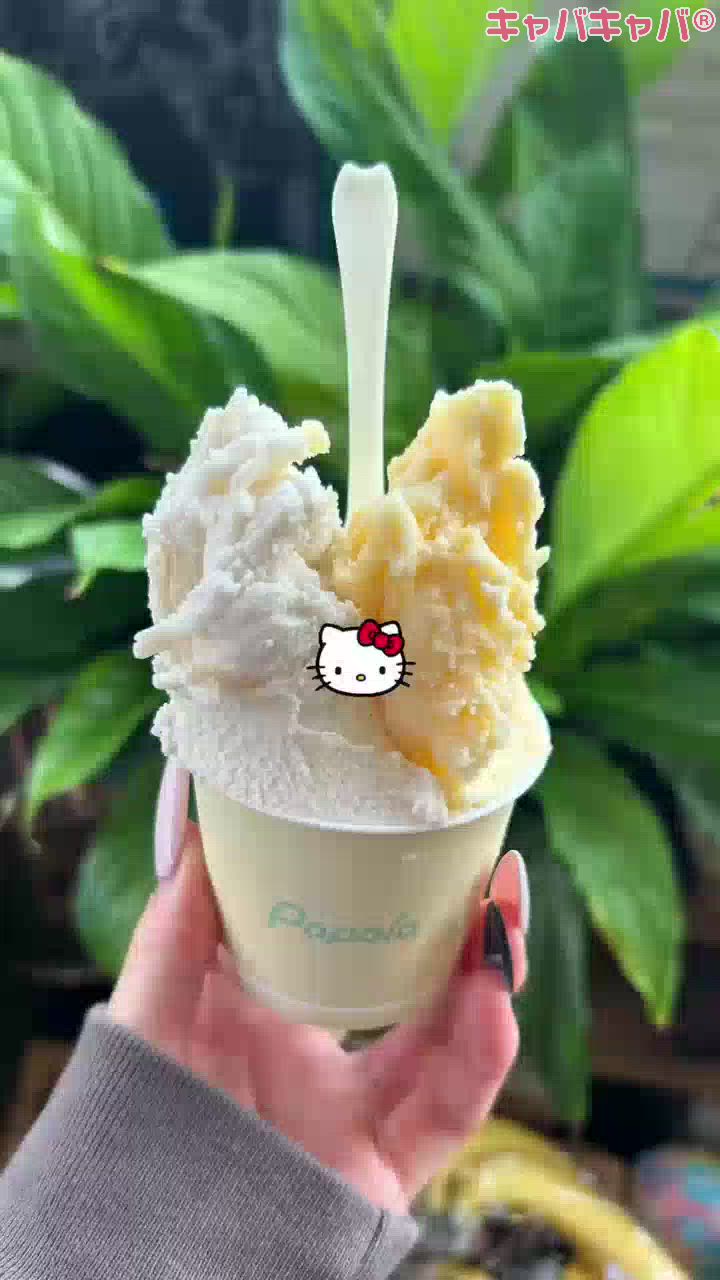 CLUB MIMOSA日記1600271