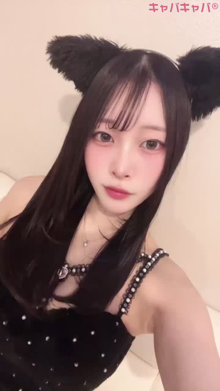 コンセプトカフェ あにまる宮殿日記1633783