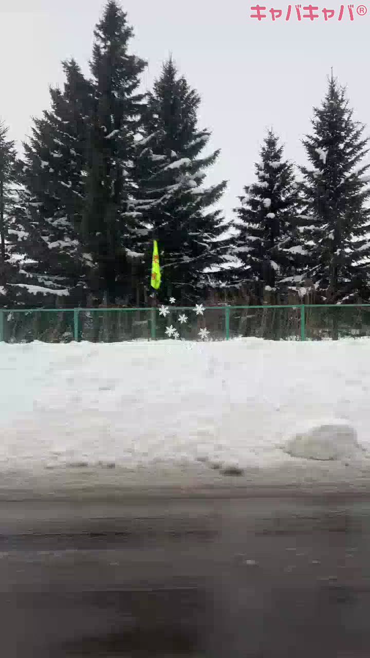 もどってきた！