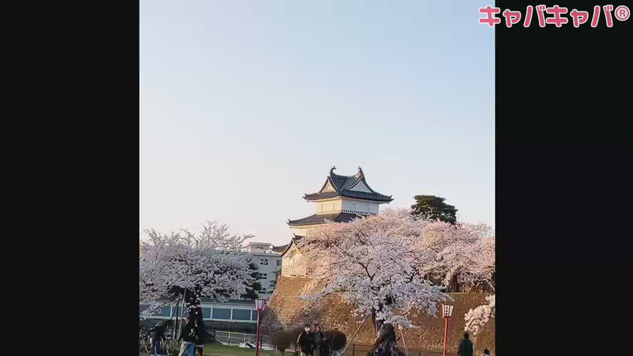 #キーマーカレー