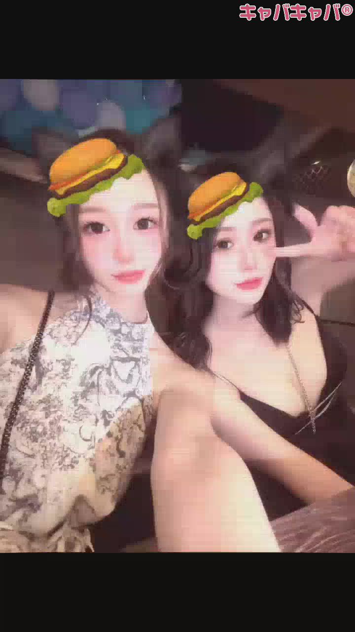 一条 葵