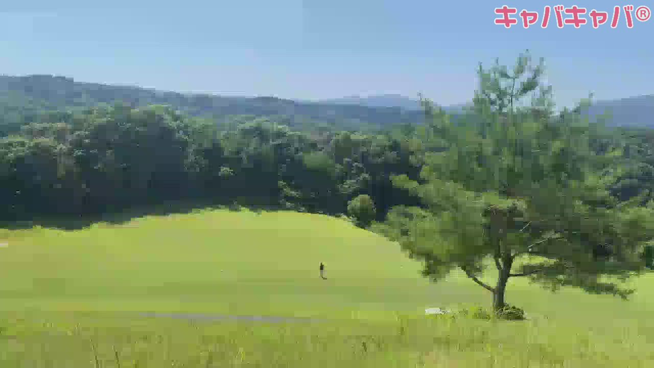 自然ていいね😀