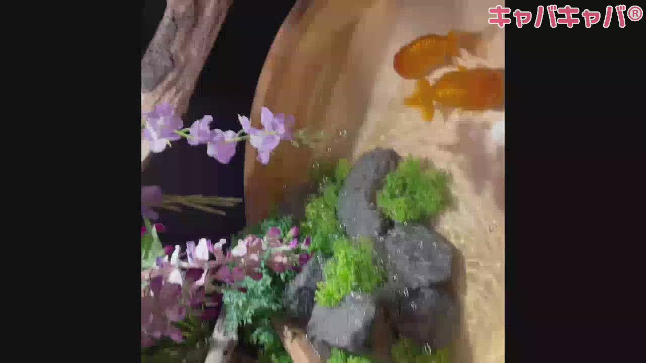 8月21日 12時47分のブログ