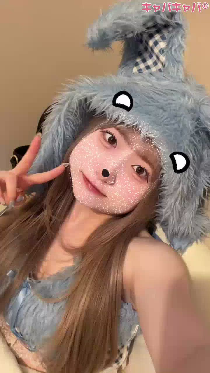 コンセプトカフェ あにまる宮殿日記1582602