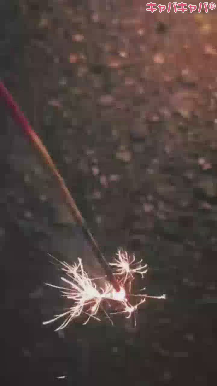 チルとエモ🪄🎇