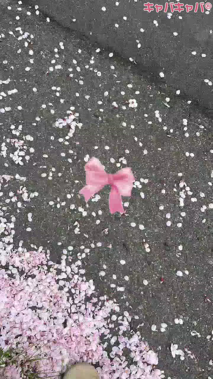 CLUB　Paladin日記1639068