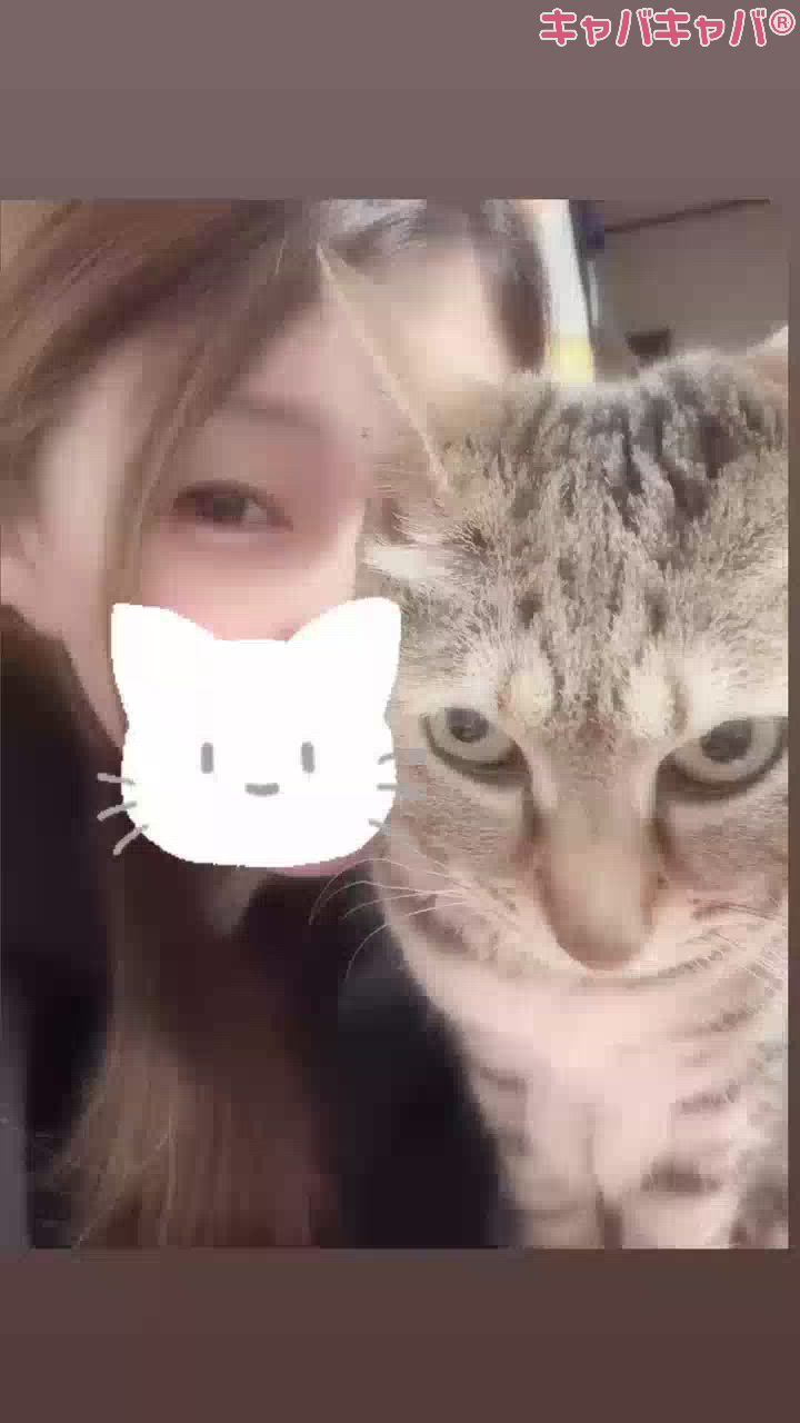 うちのにゃんこ🐱