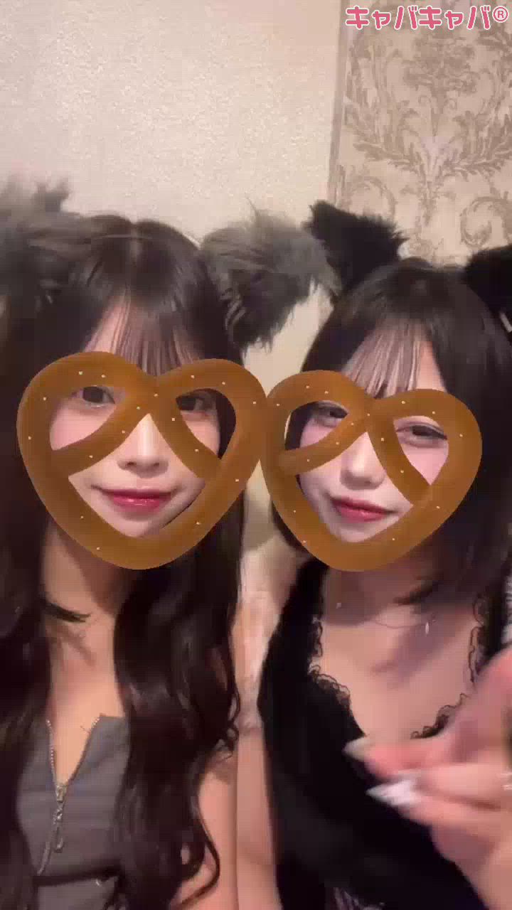 一条 葵