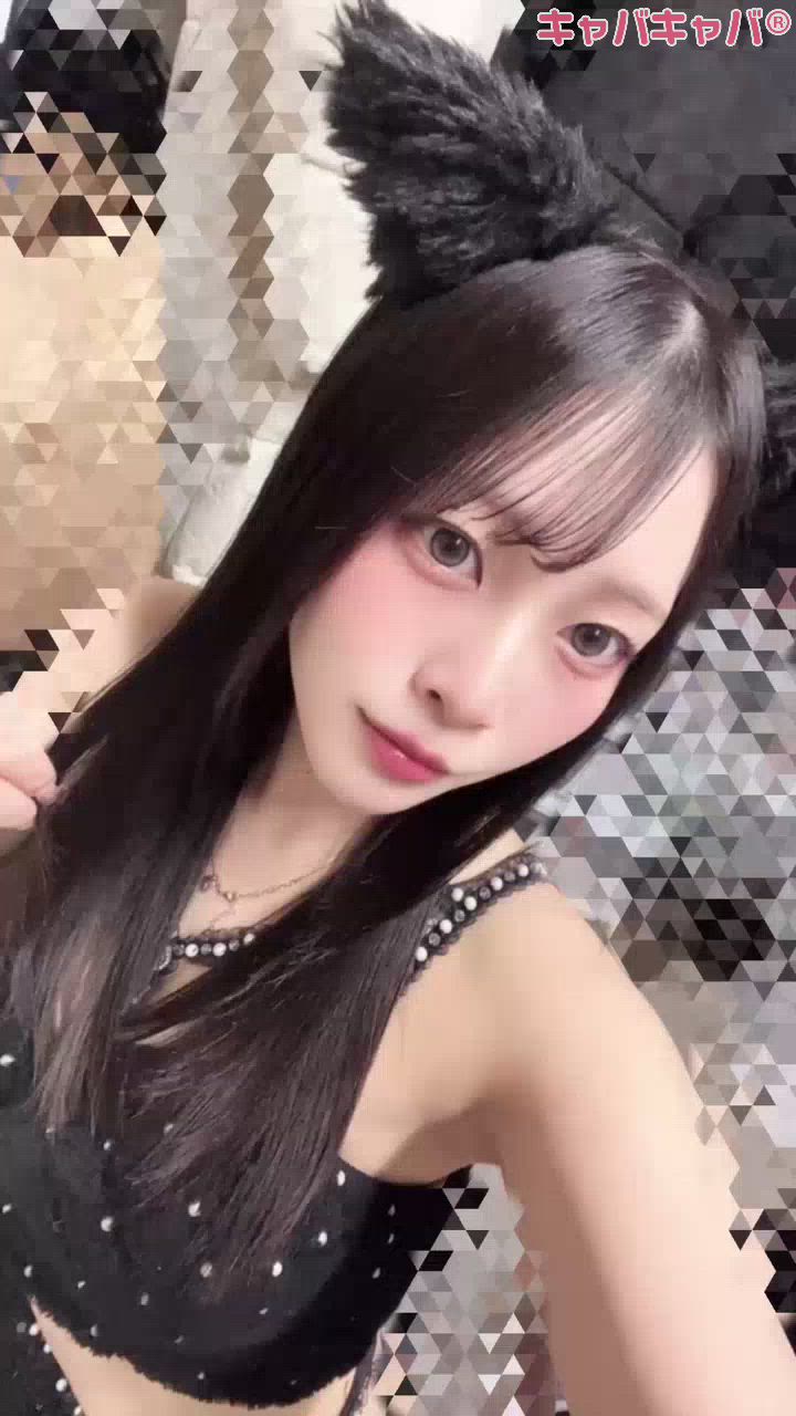 コンセプトカフェ あにまる宮殿日記1633015