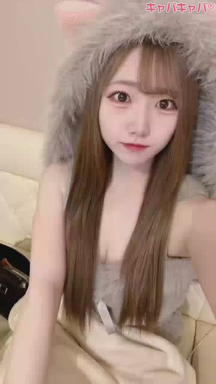 コンセプトカフェ あにまる宮殿日記1514372