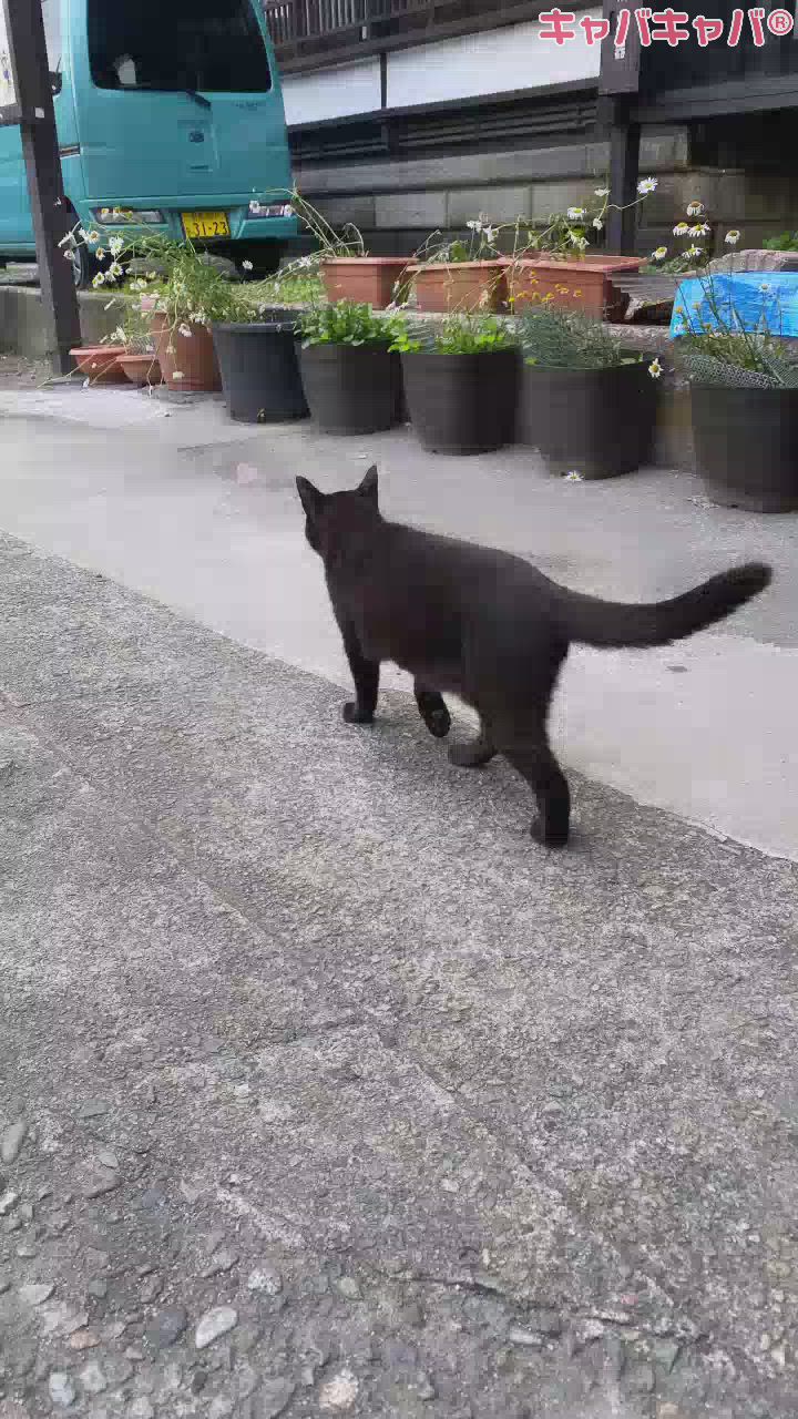 2連休楽しすぎて全身筋肉痛女