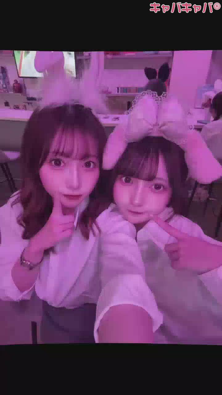 十五夜🎑🐰♥