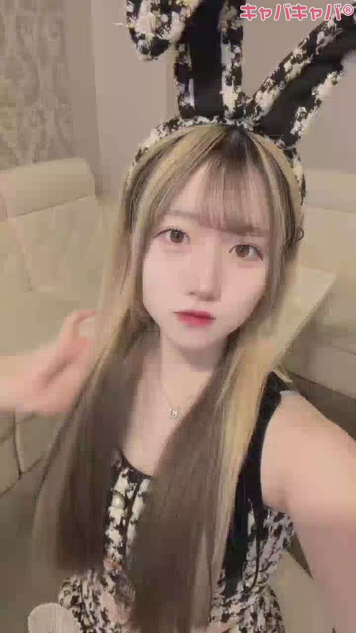 一条 葵