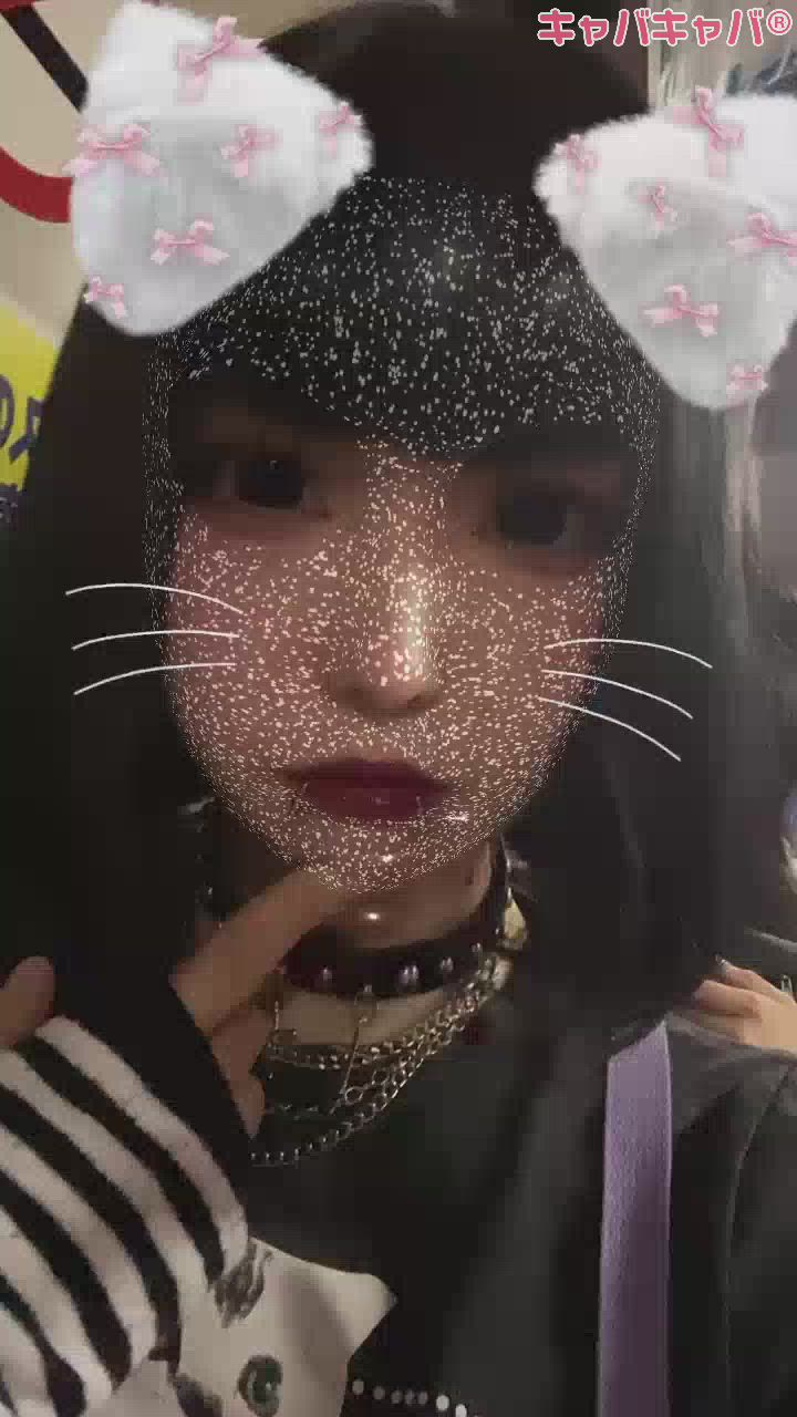 犬に気をつけろ