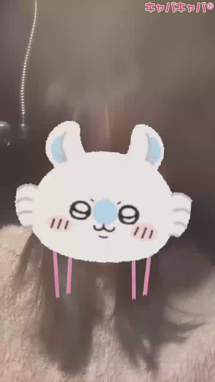 Girls Bar Philia日記1240148