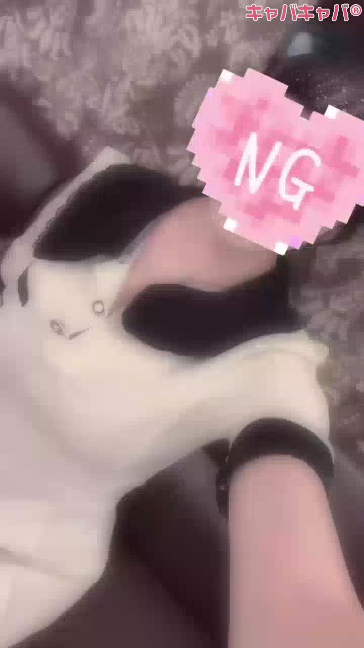 一条 葵
