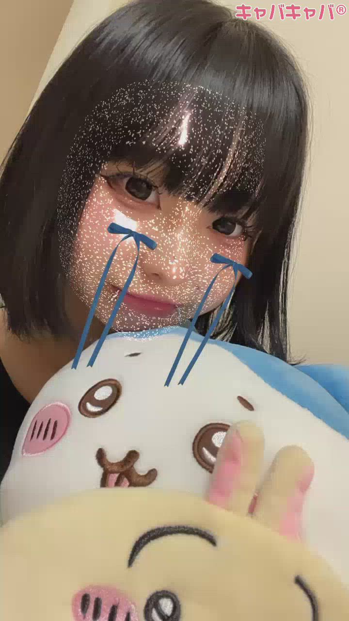 今日のにゃんこ