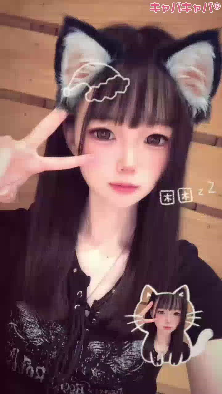 一条 葵