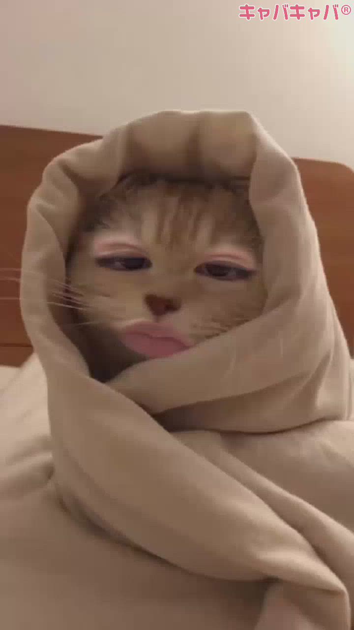 二日酔いですよねー