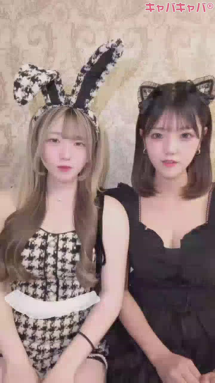 一条 葵