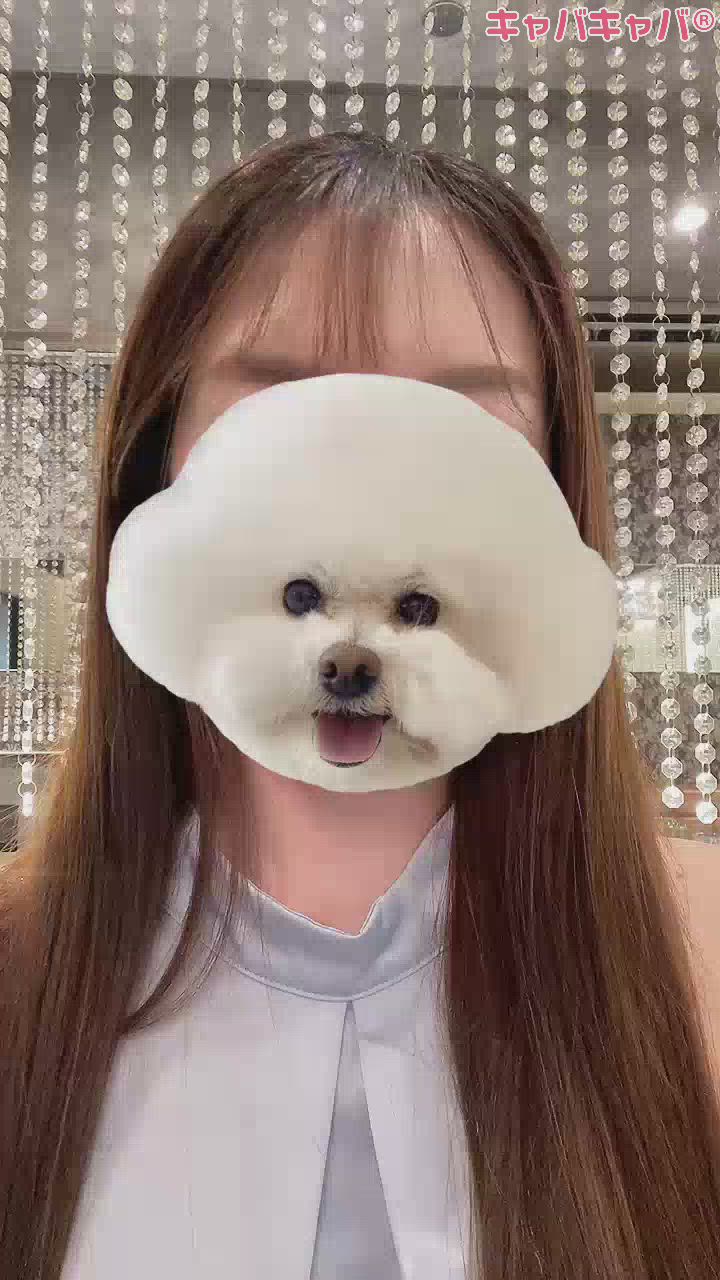 7月13日 11時40分のブログ