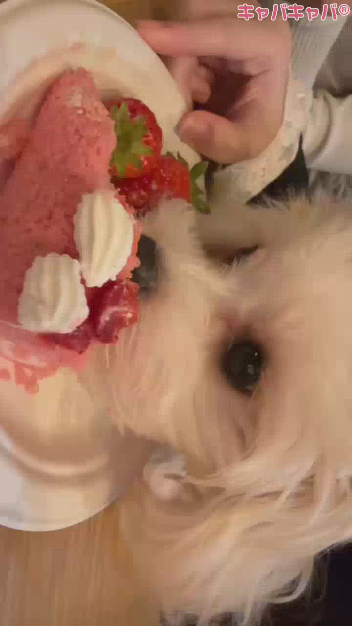 BRILLAR日記1627177