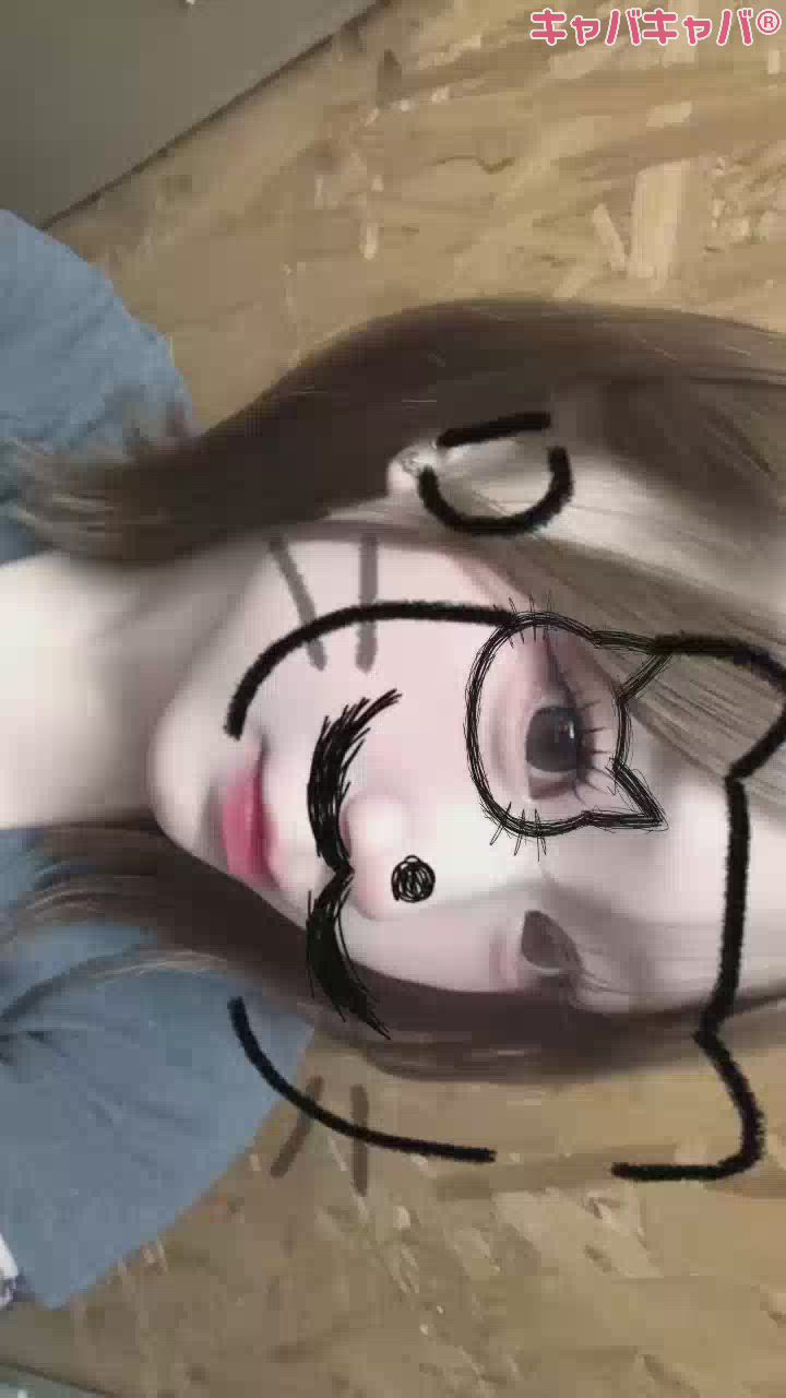 一条 葵
