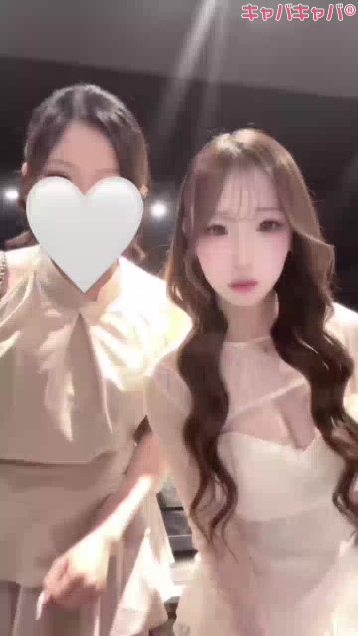 一条 葵