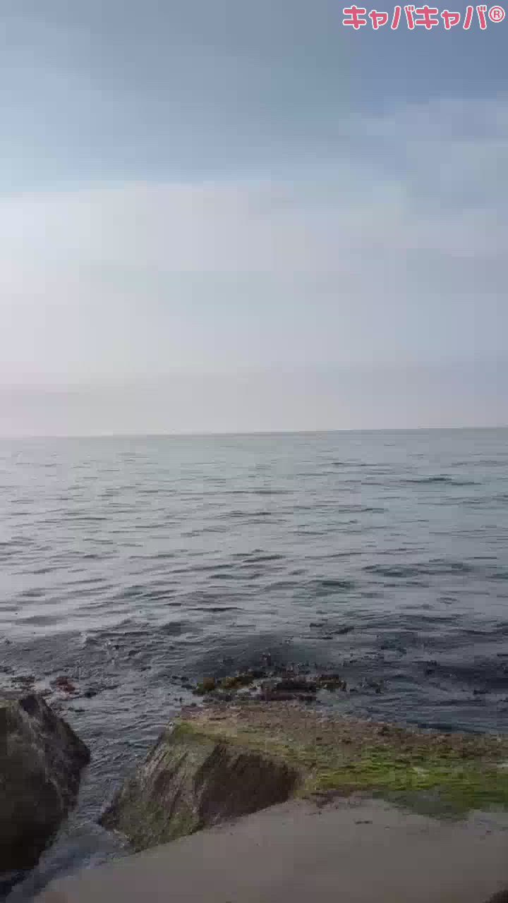 club eterhasa日記1381858