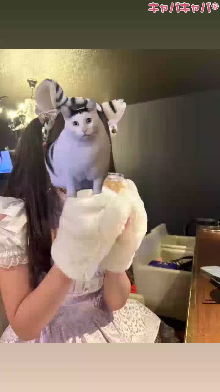 CLUB Reve日記1508985