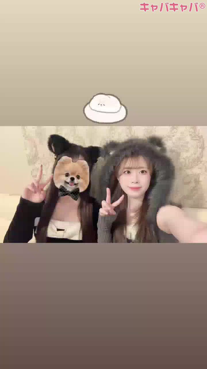 コンセプトカフェ あにまる宮殿日記1634734