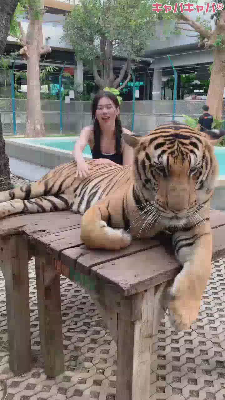 このあと襲われます