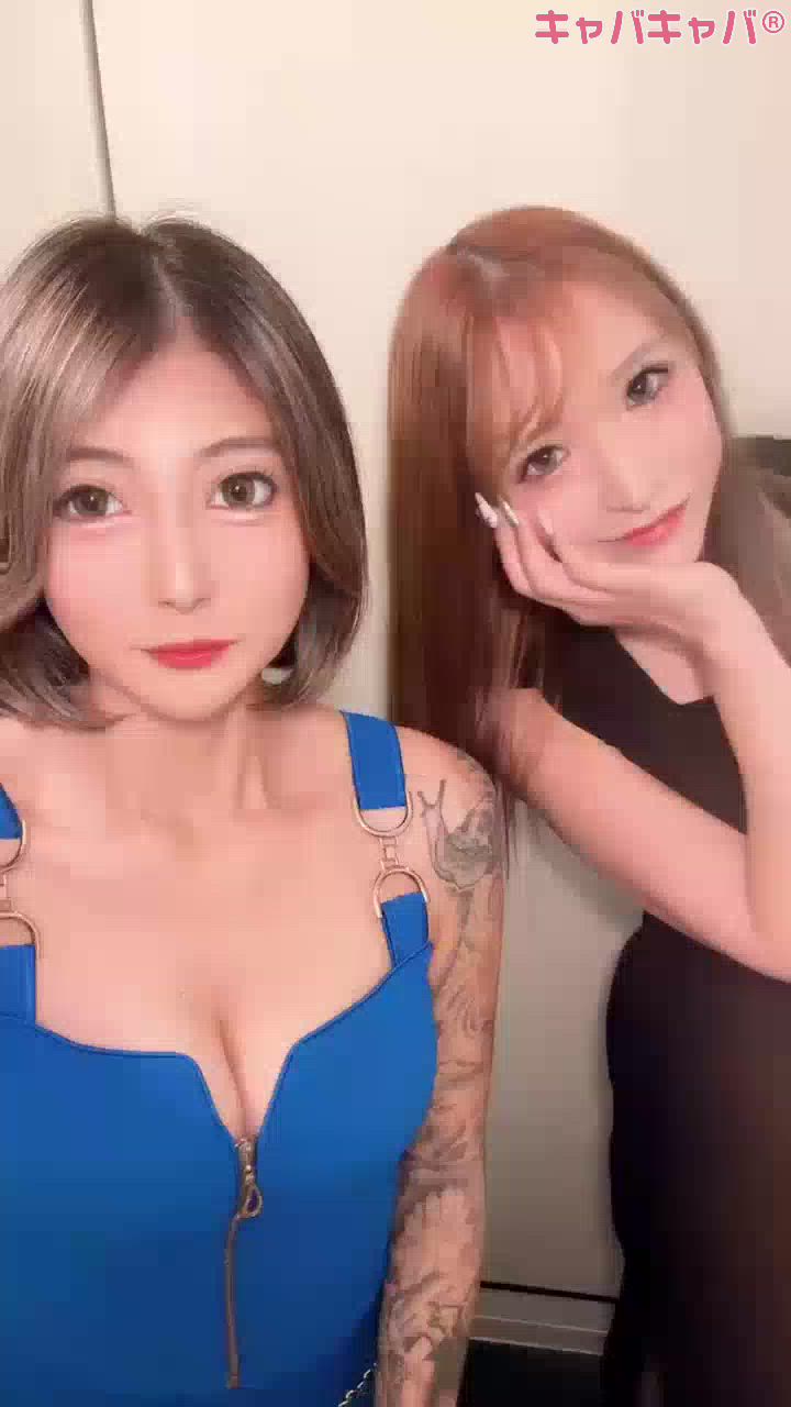 一条 葵
