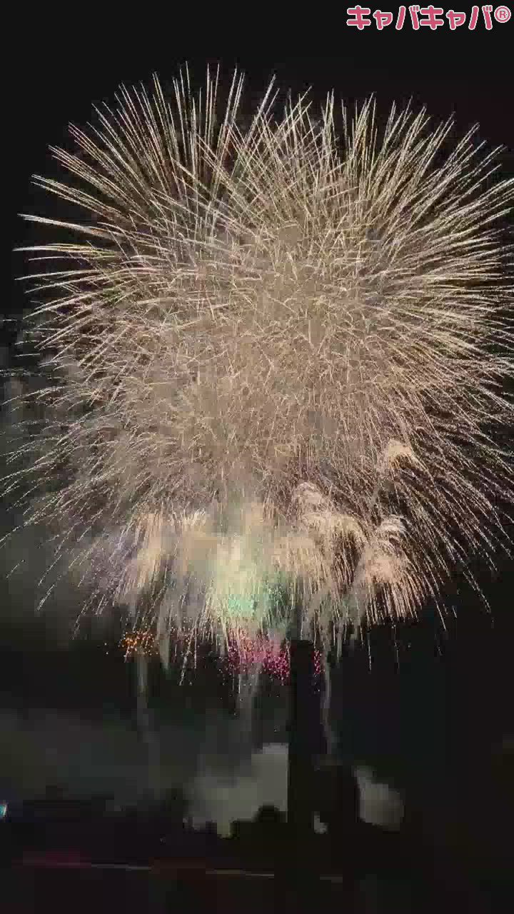 🐯片貝花火🎆