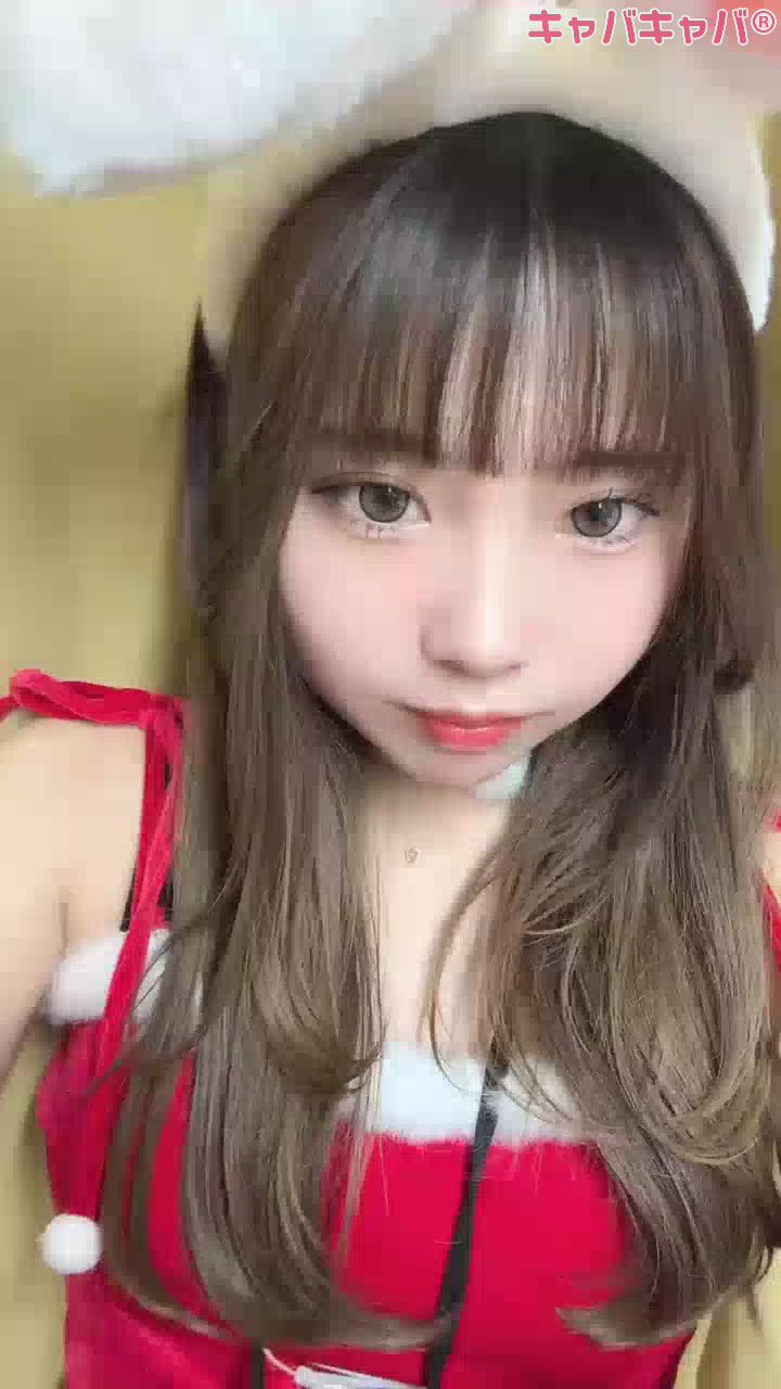 コンセプトカフェ あにまる宮殿日記1559491