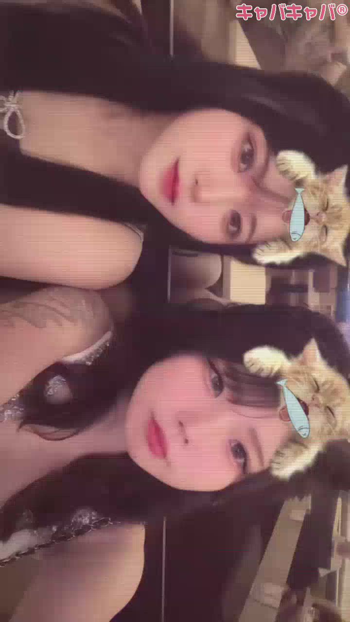 一条 葵