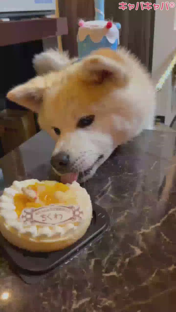 lounge Remika日記1373236