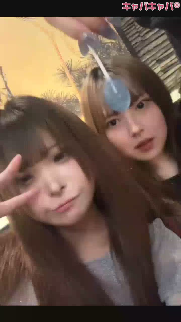 一条 葵