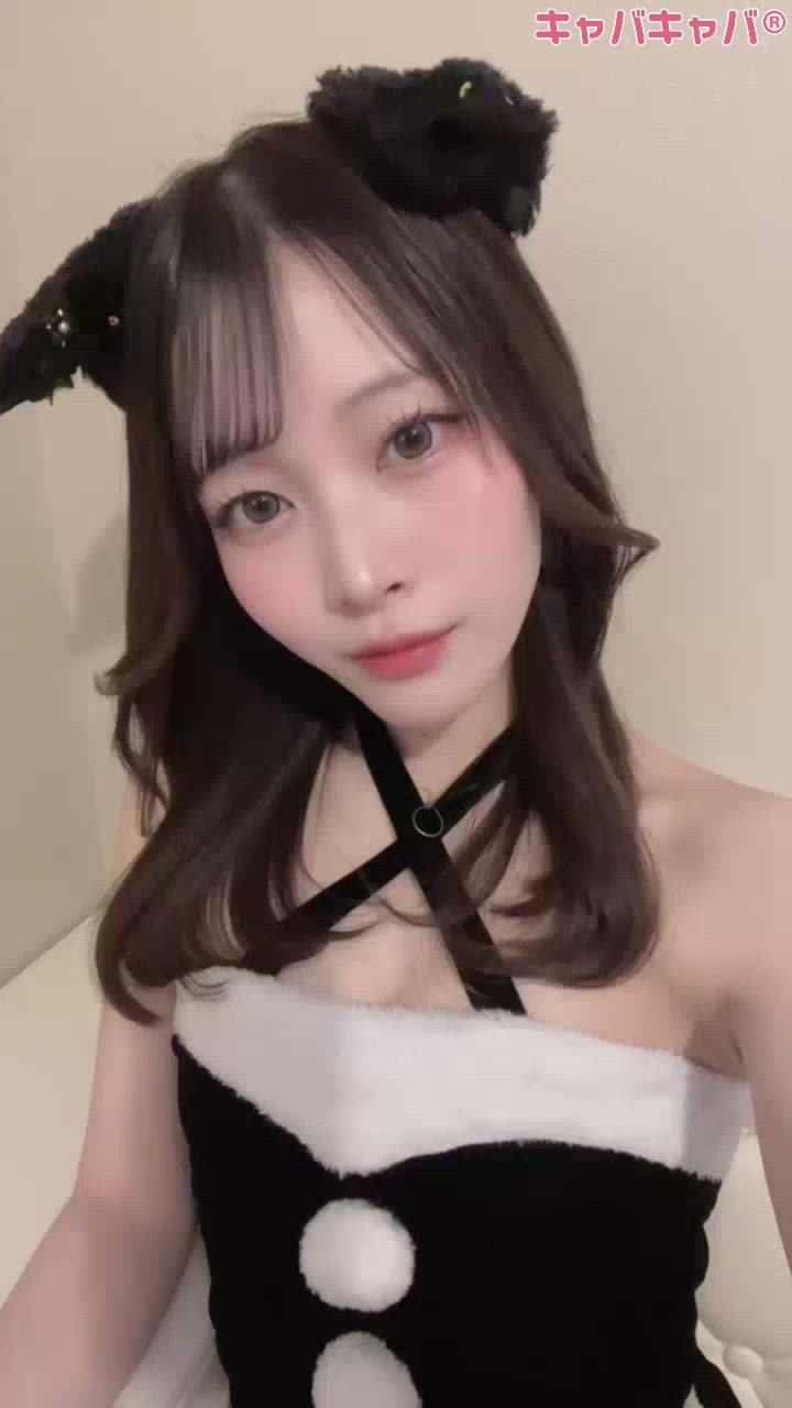 コンセプトカフェ あにまる宮殿日記1559325