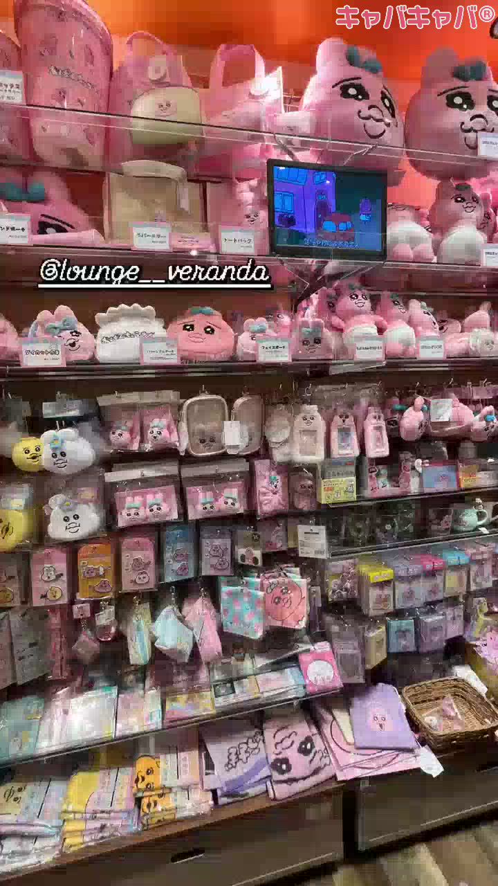 一条 葵