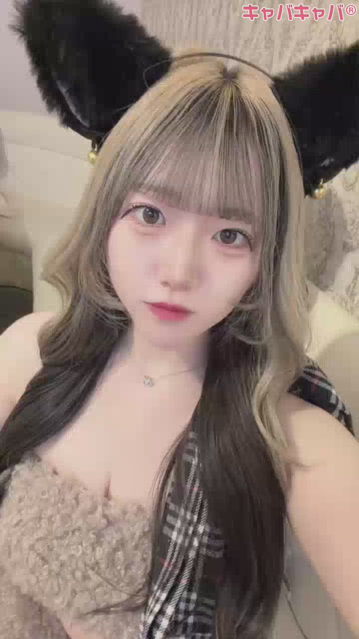 一条 葵